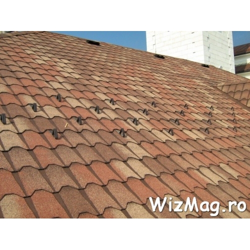 Sindrila bituminoasa Coppo