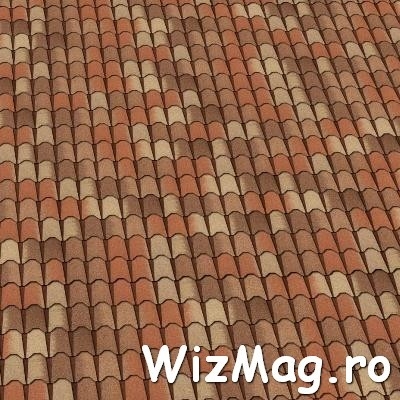 Sindrila bituminoasa Coppo