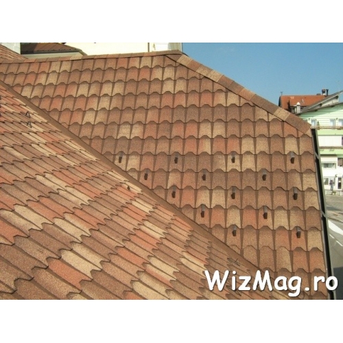 Sindrila bituminoasa Coppo