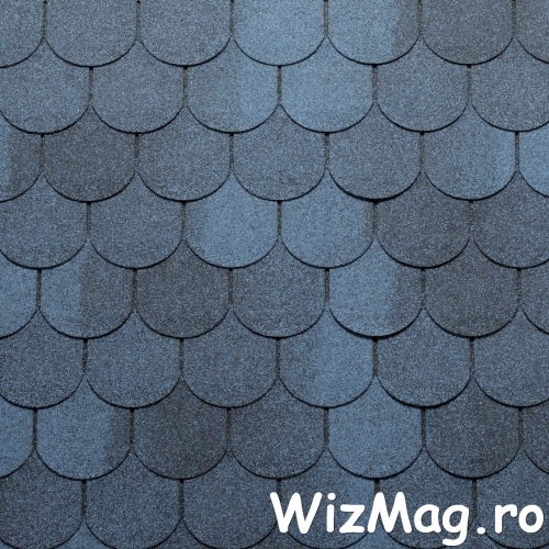 Sindrila bituminoasa Top Shingle Traditional